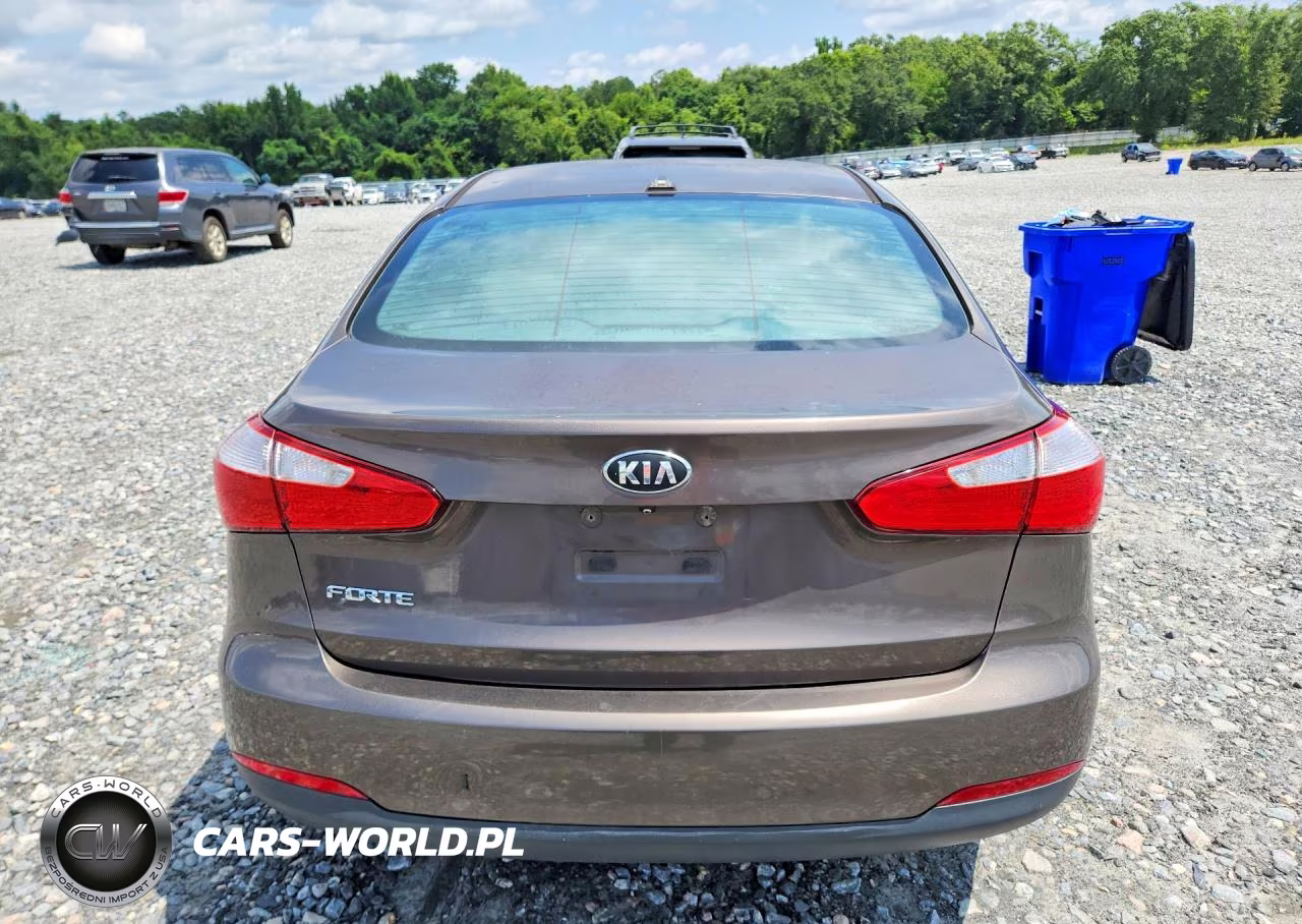 2015 Kia Forte Lx VIN:KNAFX4A62F5315648 - 6