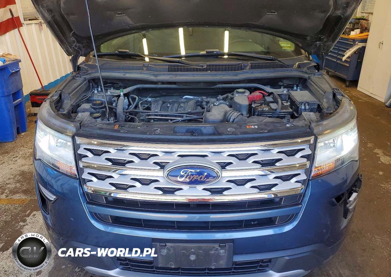 2019 Ford Explorer Xlt VIN:1FM5K8D87KGA66789 - 12