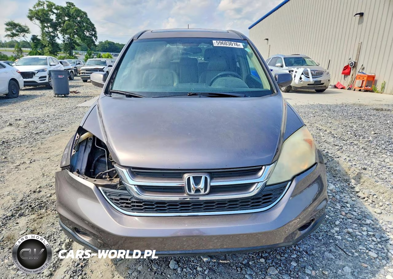 2010 Honda Cr-V Exl VIN:5J6RE3H71AL035653 - 5