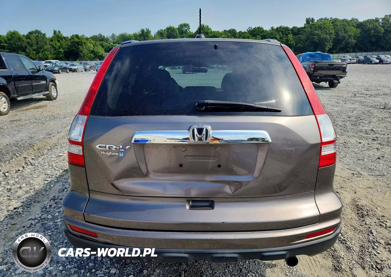 2010 Honda Cr-V Exl VIN:5J6RE3H71AL035653 - 6