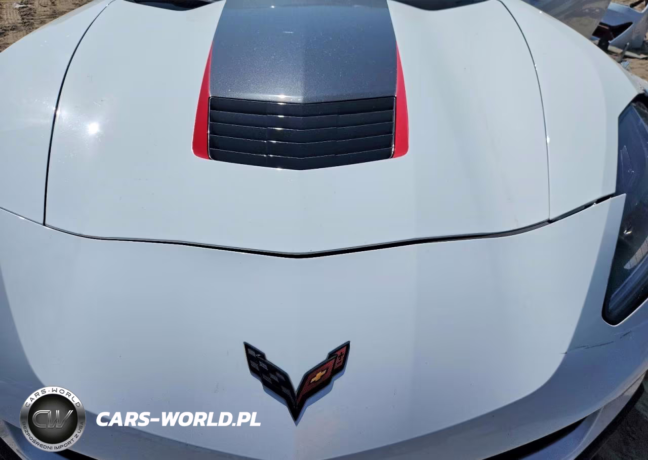 2019 Chevrolet Corvette VIN:1G1YW2D77K5106710 - 11