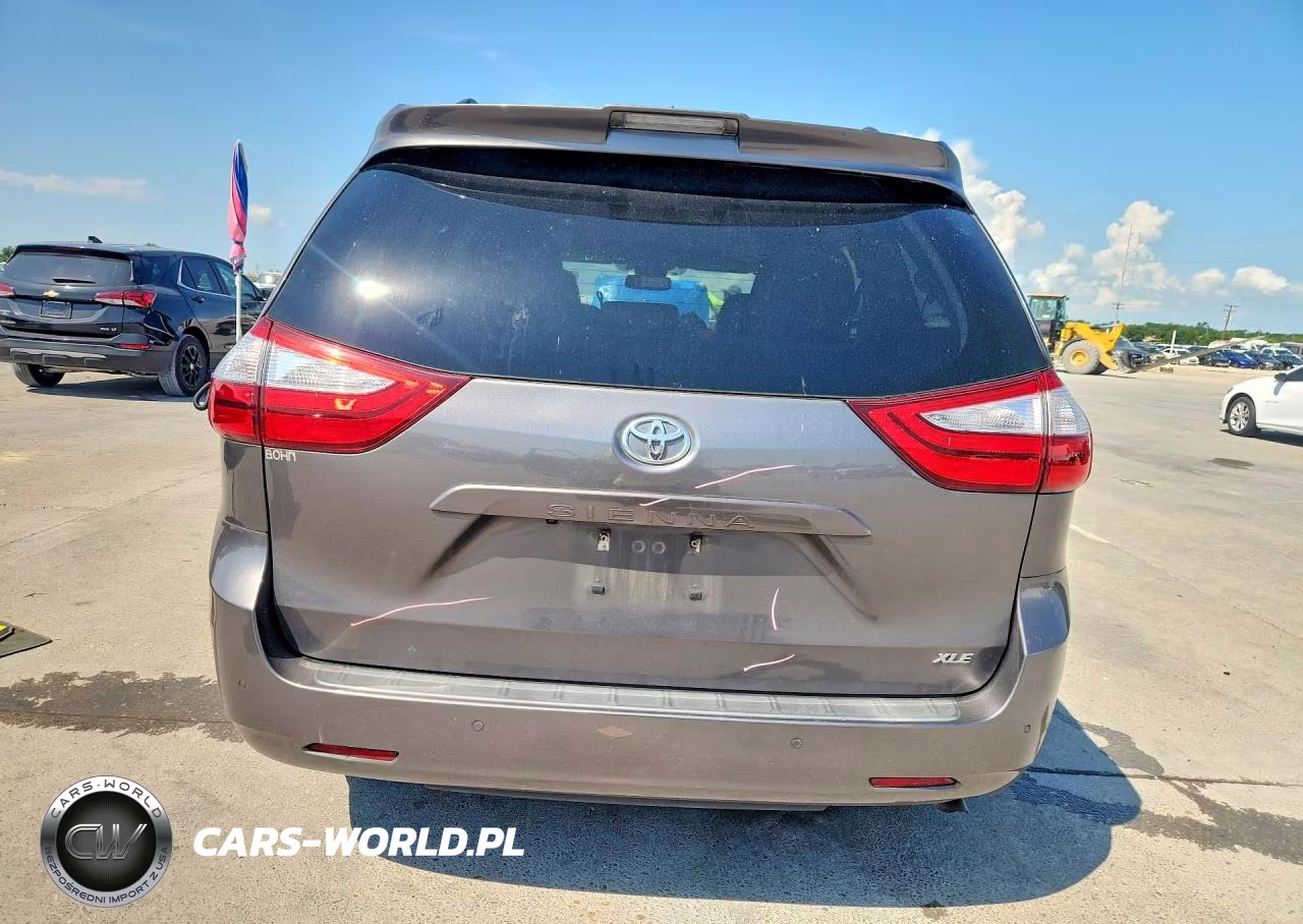 2019 Toyota Sienna Xle 8-Passenger VIN:5TDYZ3DCXKS017192 - 6