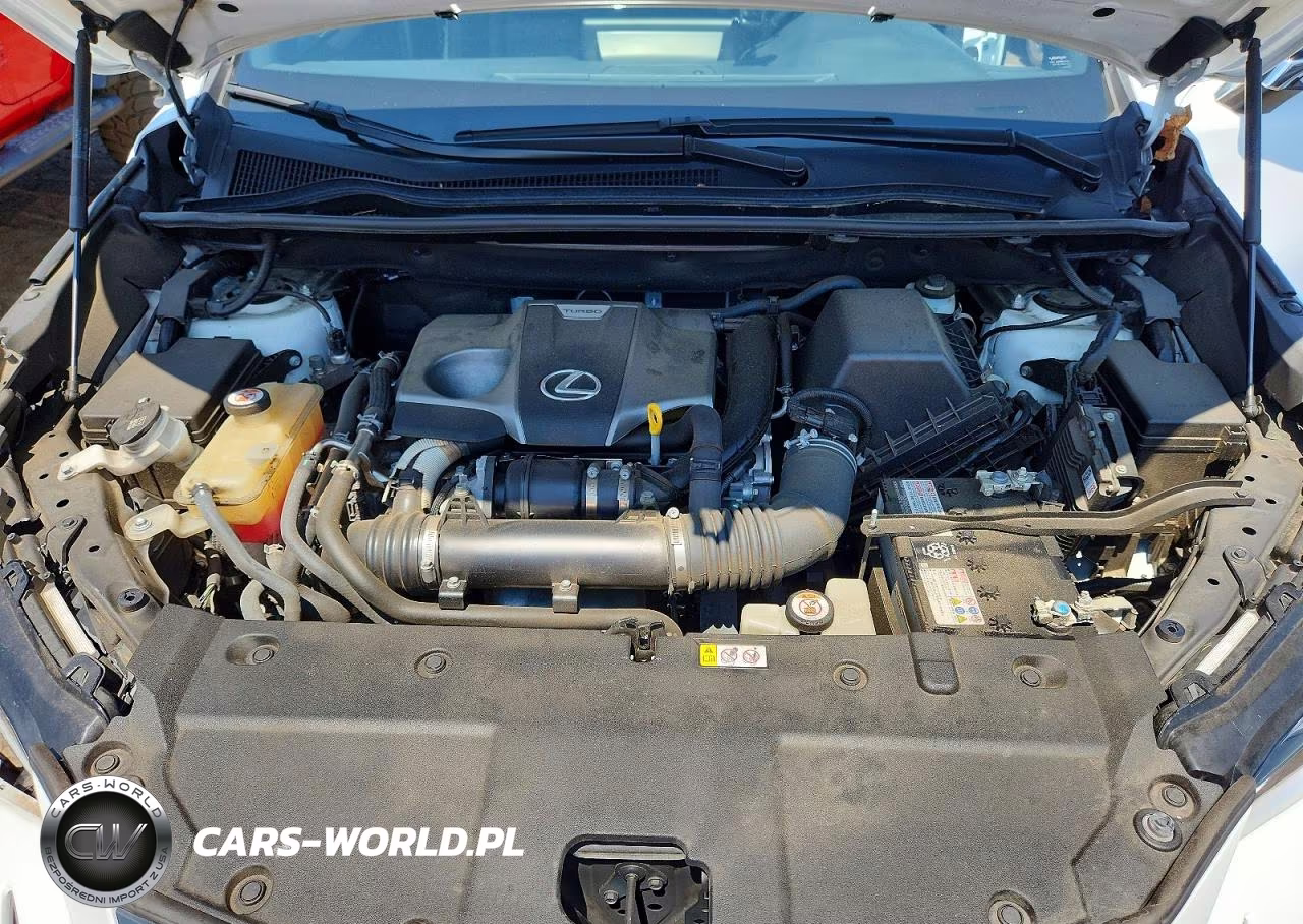 2019 Lexus Nx 300 F Sport VIN:JTJBARBZ3K2193982 - 11
