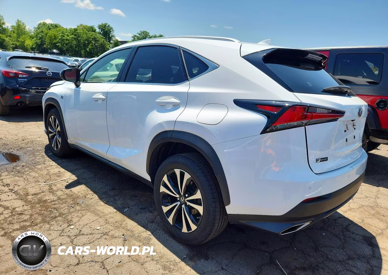 2019 Lexus Nx 300 F Sport VIN:JTJBARBZ3K2193982 - 2