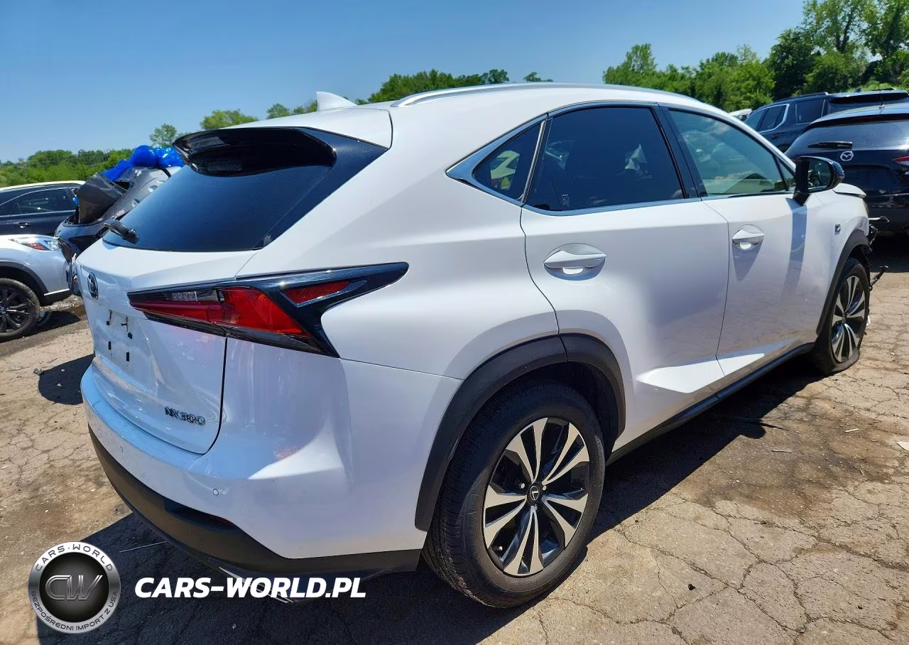 2019 Lexus Nx 300 F Sport VIN:JTJBARBZ3K2193982 - 3