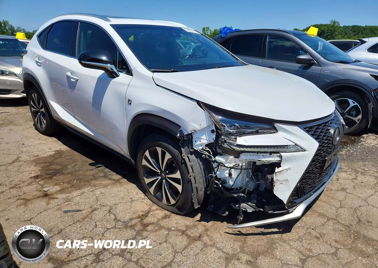 2019 Lexus Nx 300 F Sport VIN:JTJBARBZ3K2193982 - 4