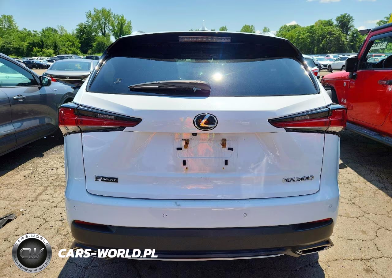 2019 Lexus Nx 300 F Sport VIN:JTJBARBZ3K2193982 - 6
