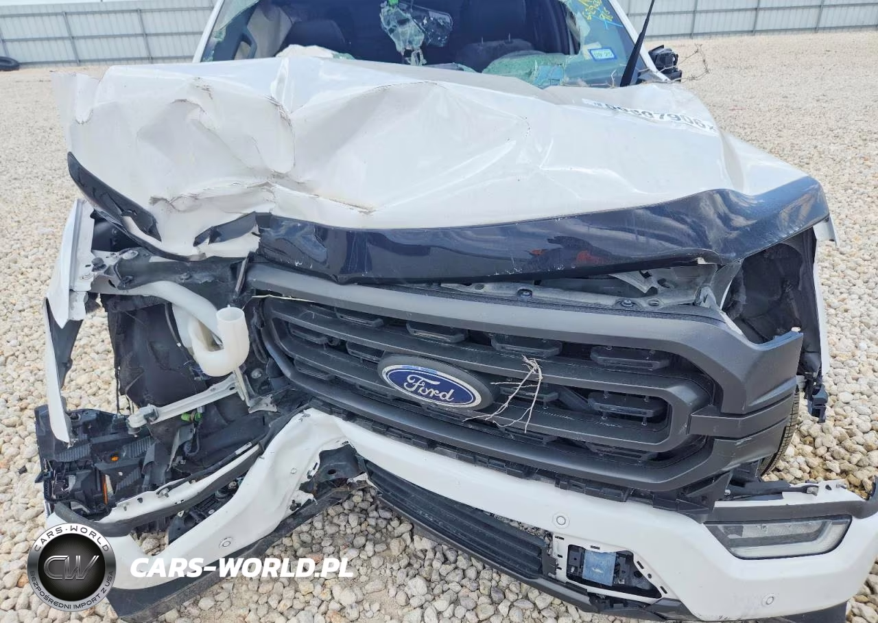 2021 Ford F150 Supercrew VIN:1FTEW1C50MFB16822 - 11