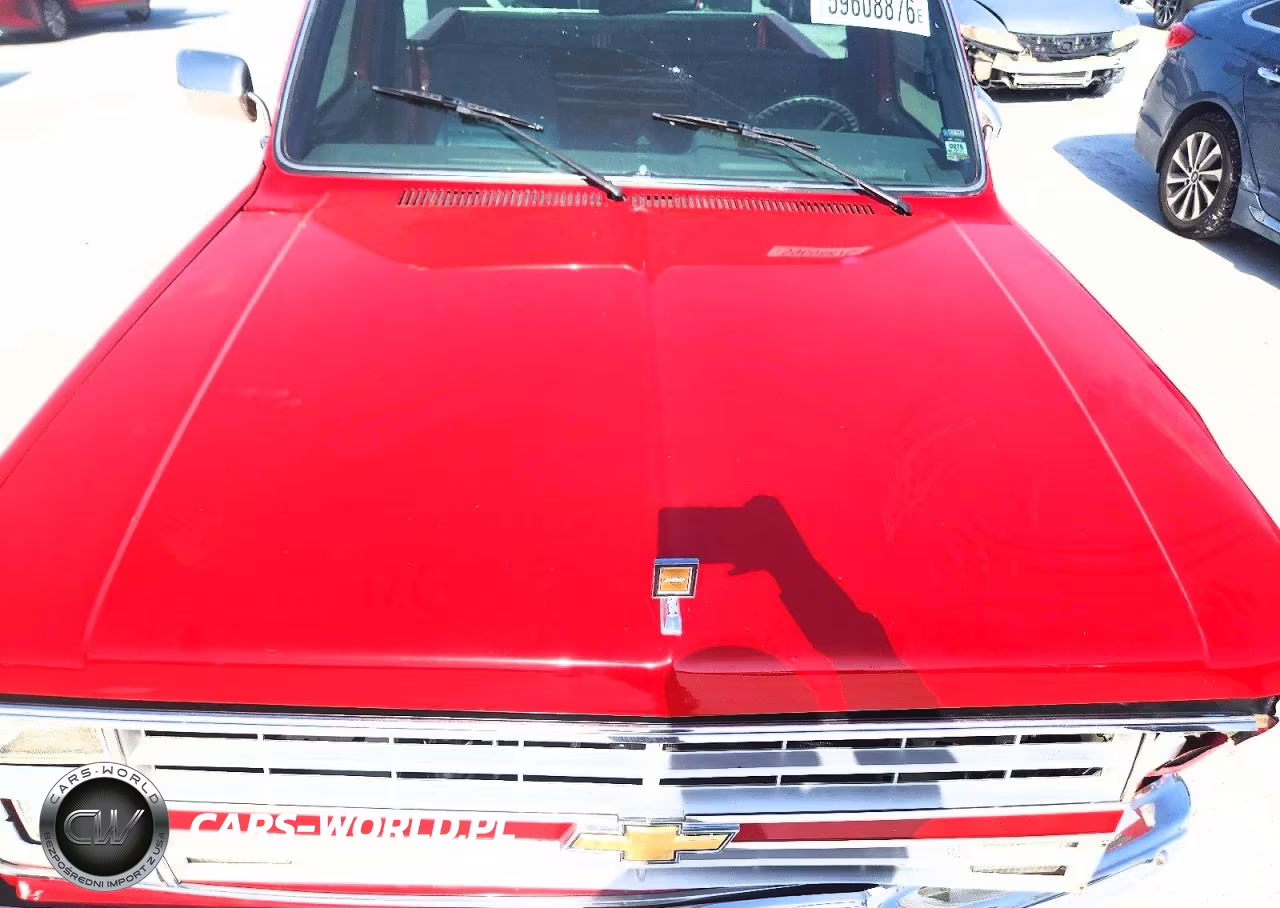 1986 Chevrolet C10 VIN:1GCDC14H3GF382983 - 11
