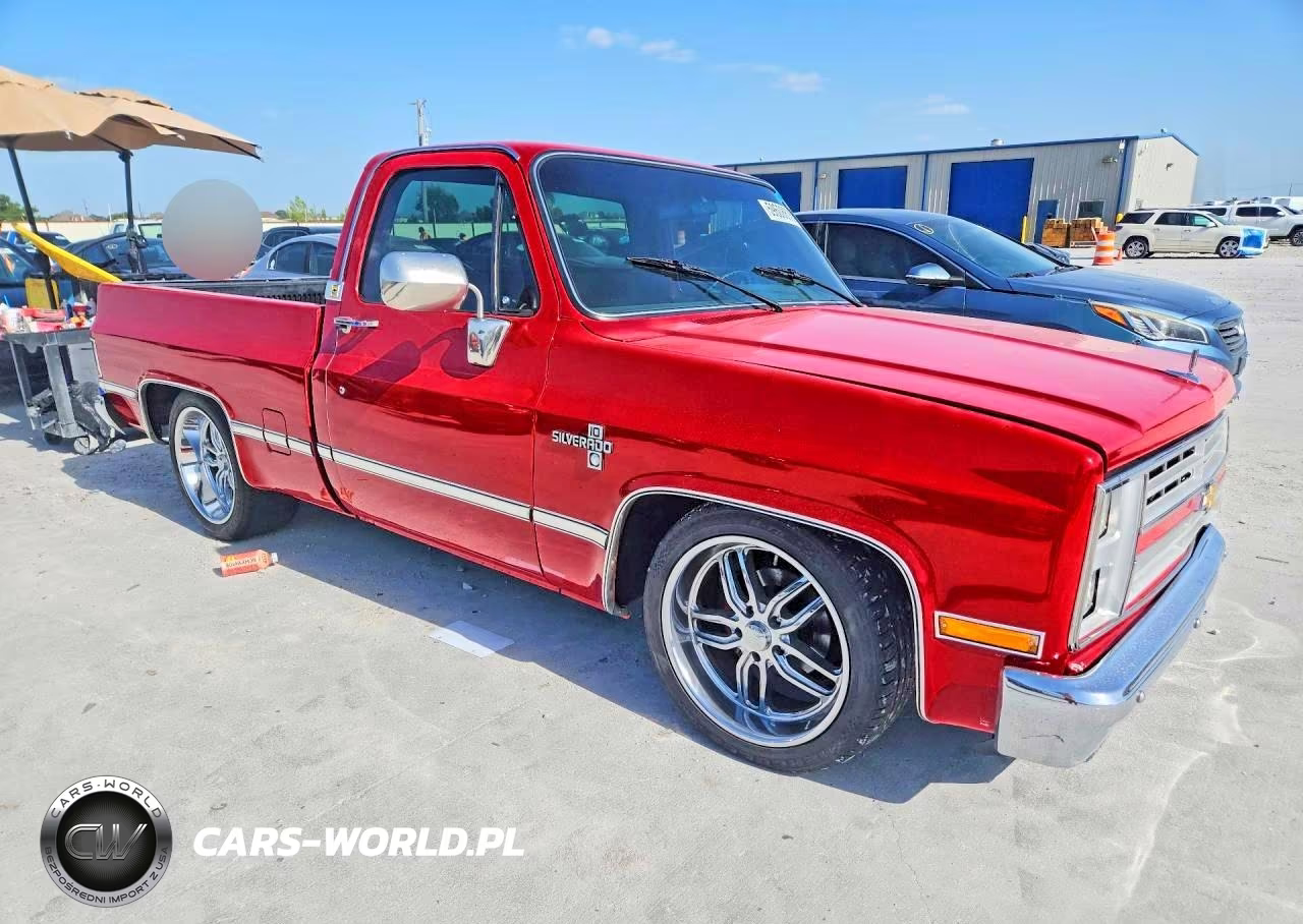 1986 Chevrolet C10 VIN:1GCDC14H3GF382983 - 4
