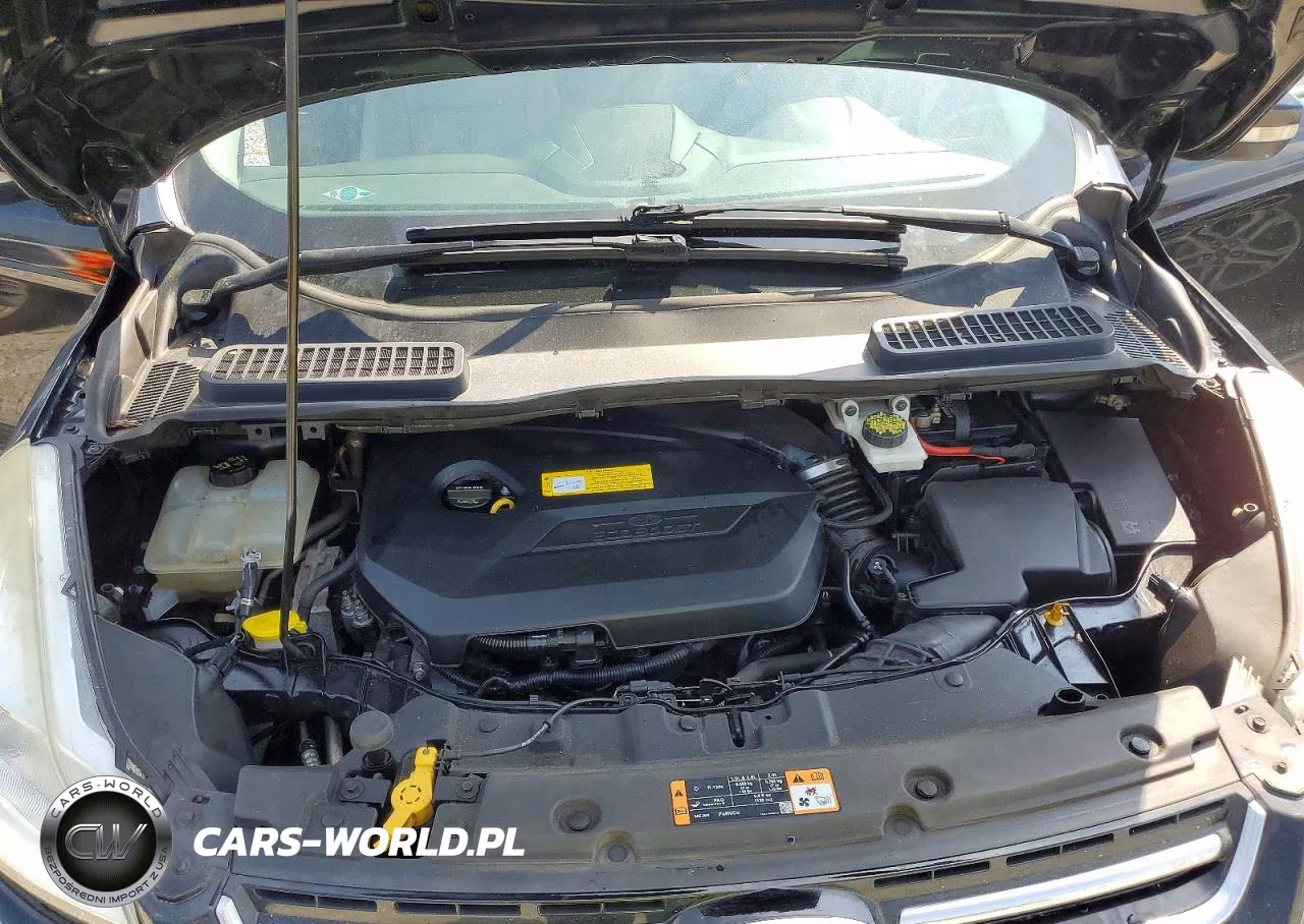 2016 Ford Escape Titanium VIN:1FMCU0JX1GUC86047 - 12