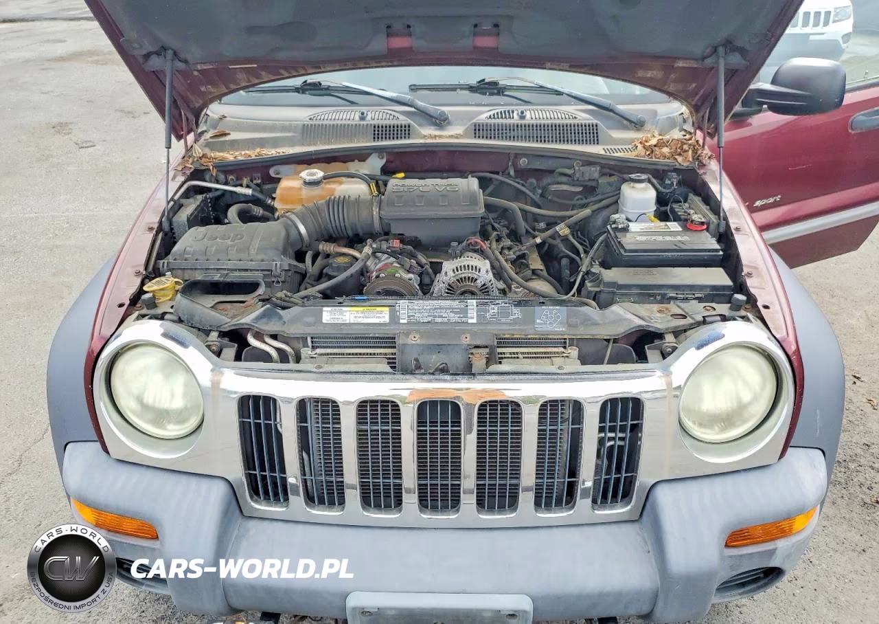 2002 Jep Liberty VIN:1J4GL48K42W253660 - 11