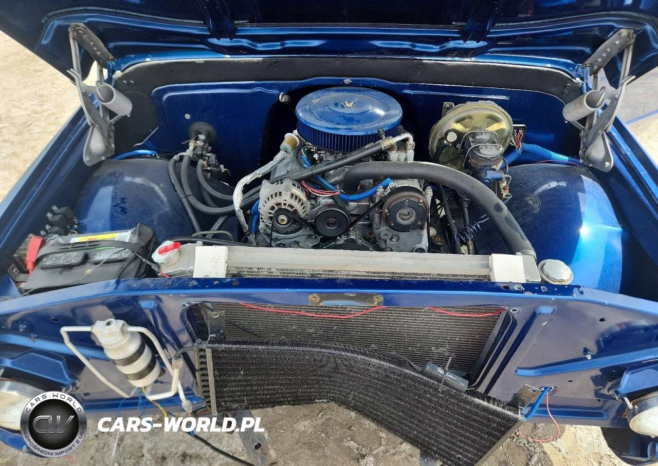 1969 Chev C10 VIN:CS1491854684 - 11
