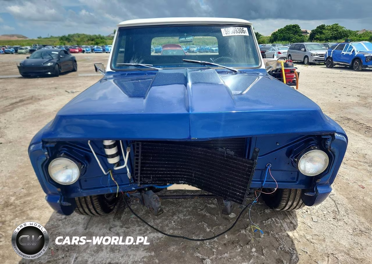 1969 Chev C10 VIN:CS1491854684 - 5