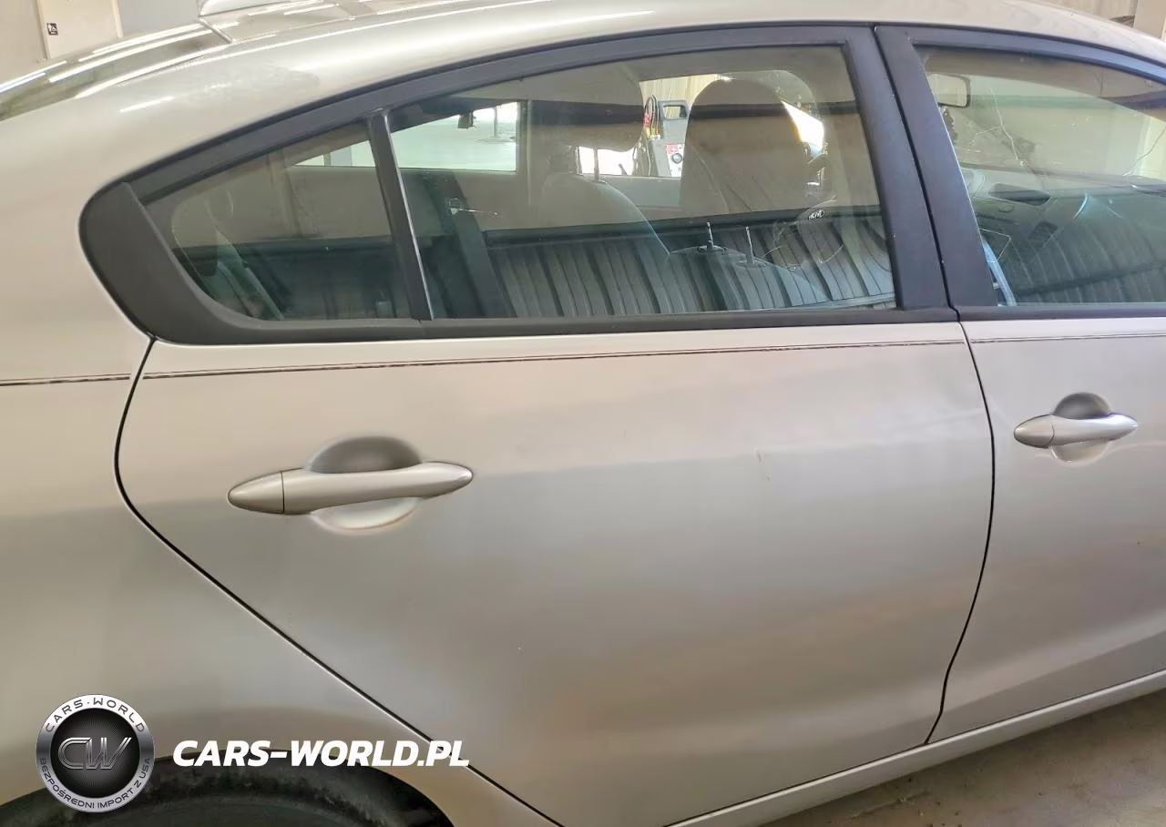 2014 Kia Forte Lx VIN:KNAFX4A69E5242700 - 10