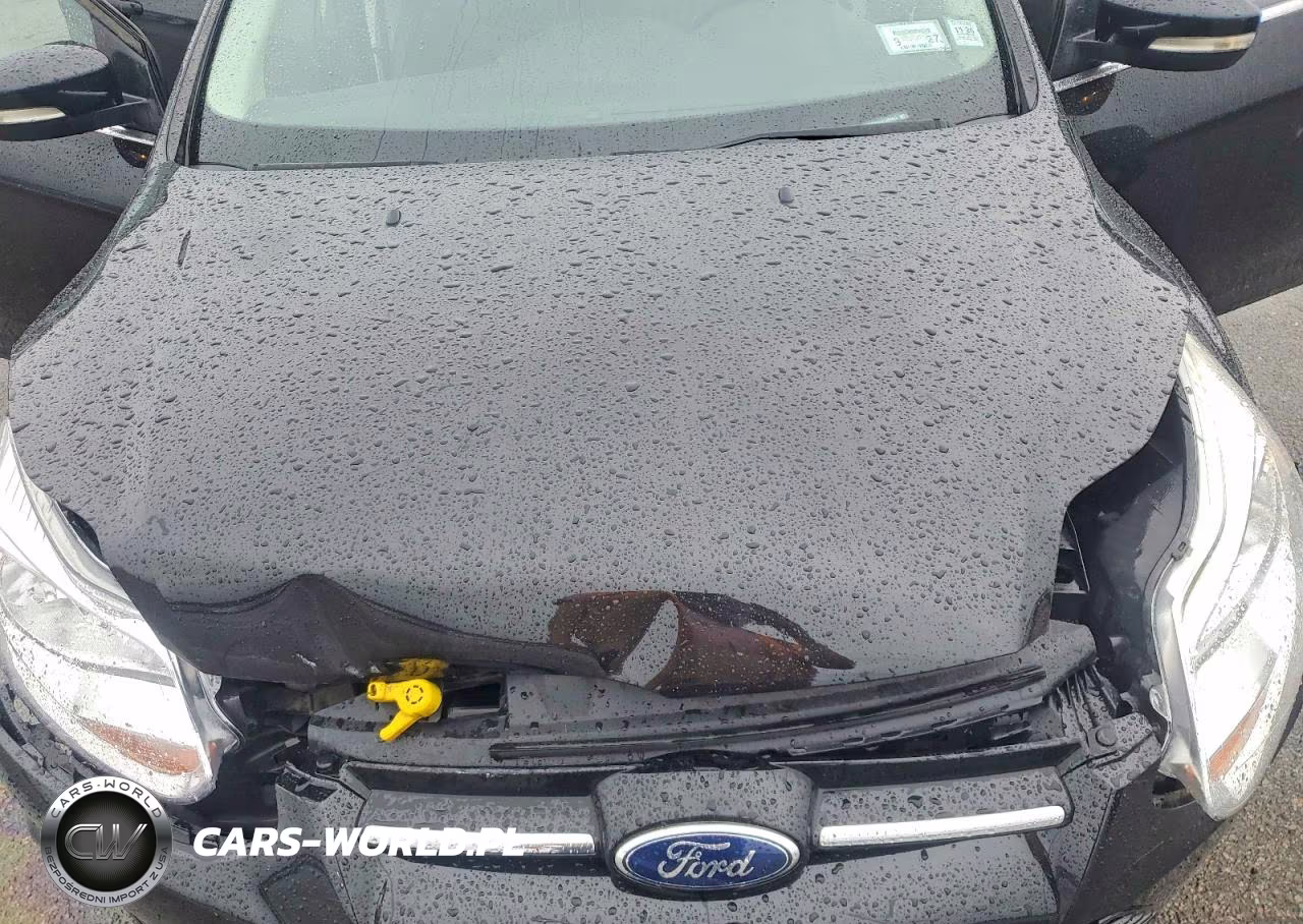 2012 Ford Focus Sel VIN:1FAHP3H24CL460423 - 11
