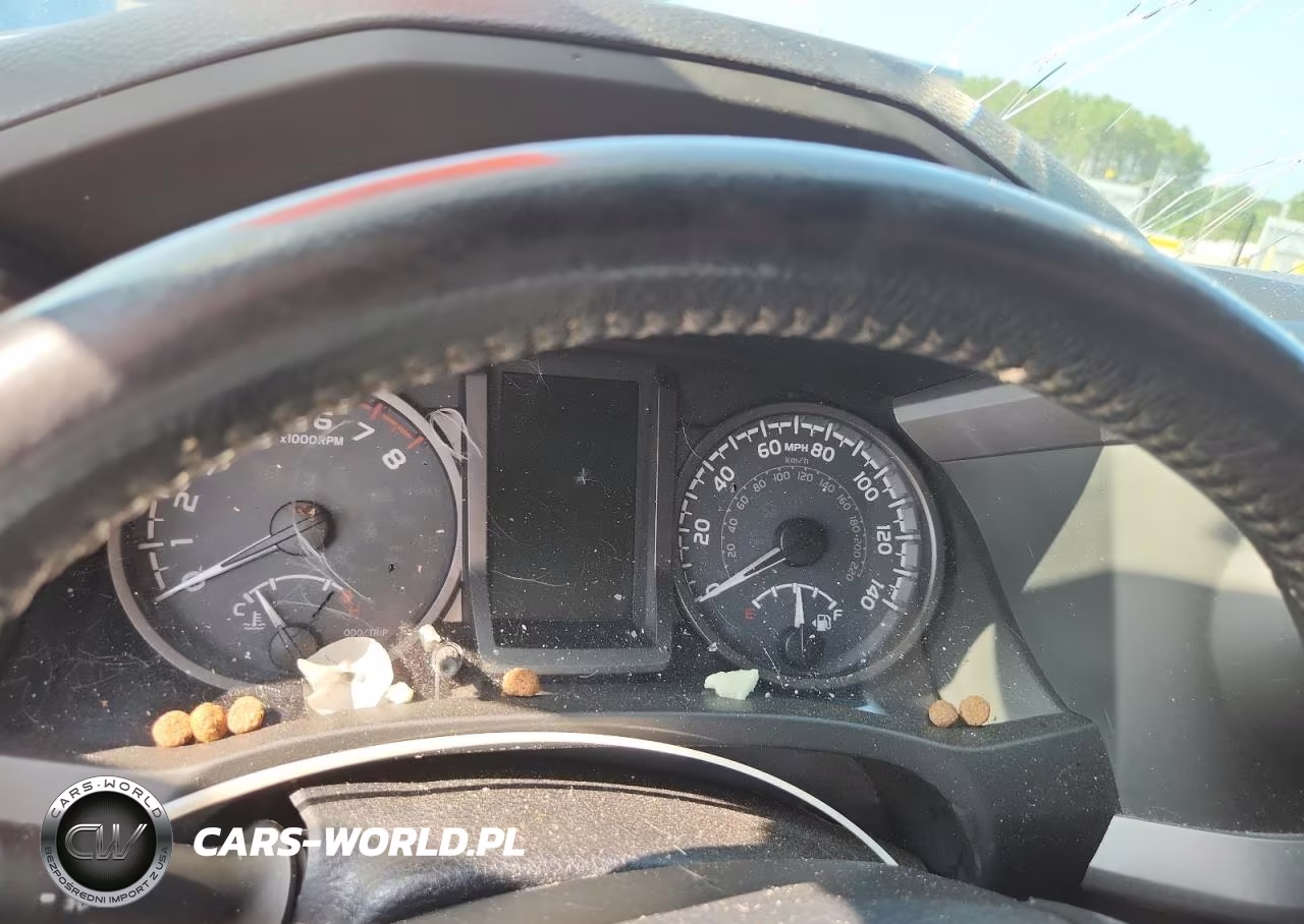 2019 Toyota Tacoma Trd Sport VIN:5TFAZ5CN6KX076766 - 9