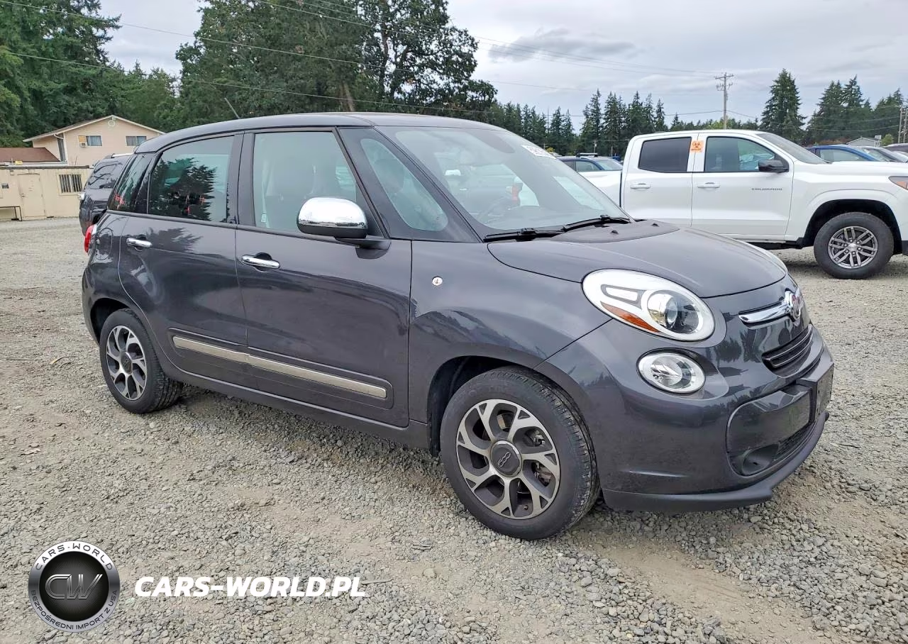 2014 Fiat 500L Lounge VIN:ZFBCFACH9EZ004718 - 4