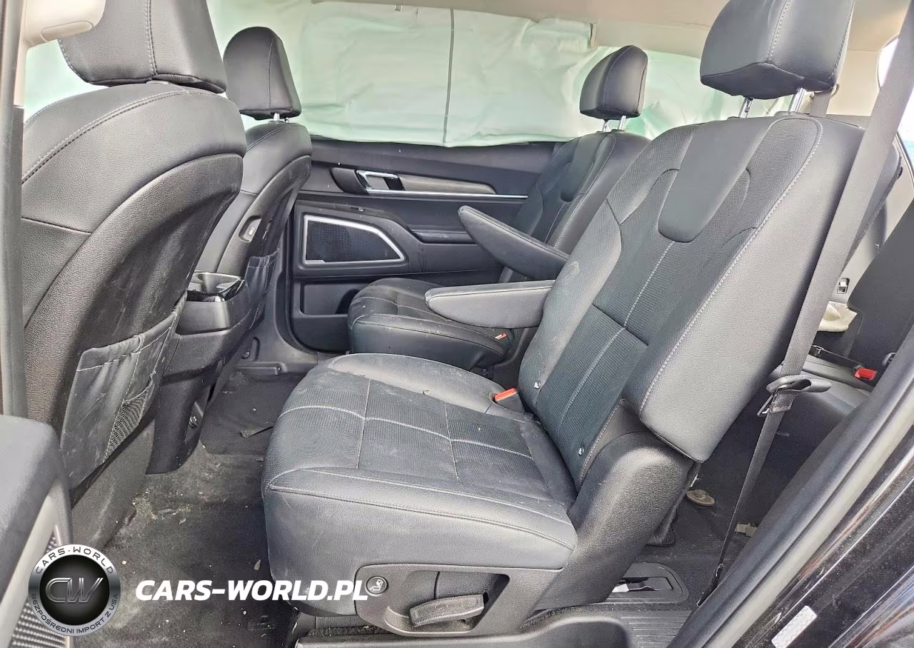 2022 Kia Telluride Ex VIN:5XYP3DHCXNG216189 - 10