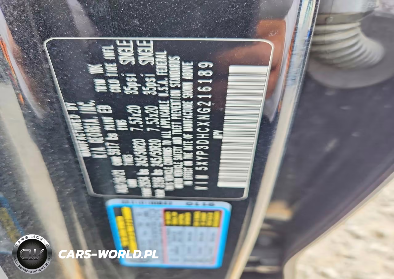 2022 Kia Telluride Ex VIN:5XYP3DHCXNG216189 - 12