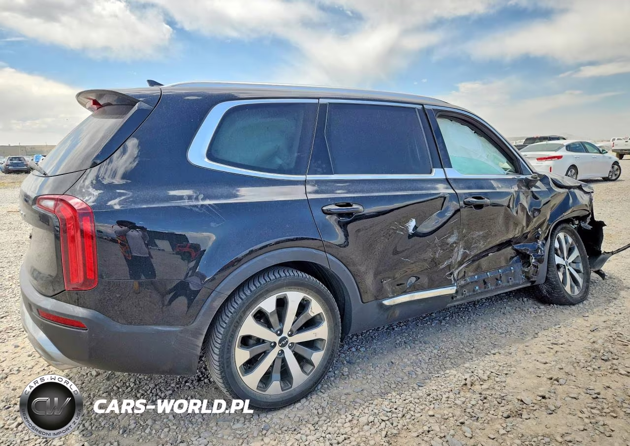 2022 Kia Telluride Ex VIN:5XYP3DHCXNG216189 - 3