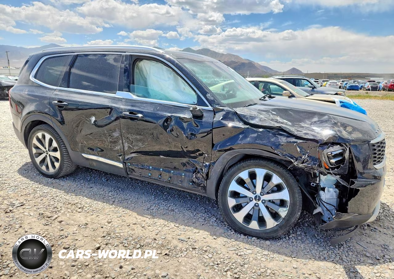 2022 Kia Telluride Ex VIN:5XYP3DHCXNG216189 - 4