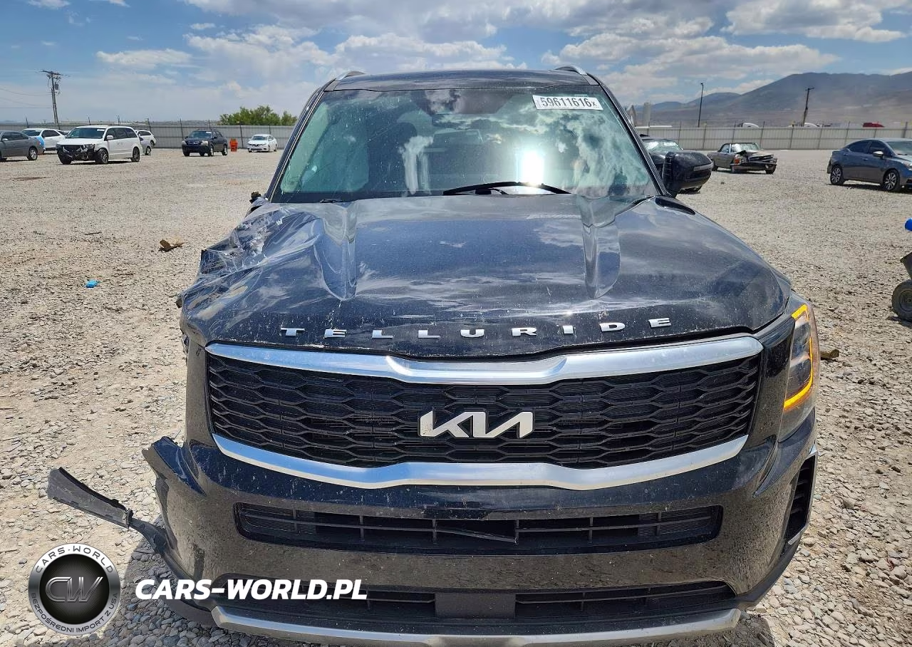 2022 Kia Telluride Ex VIN:5XYP3DHCXNG216189 - 5