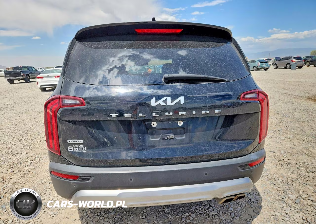 2022 Kia Telluride Ex VIN:5XYP3DHCXNG216189 - 6