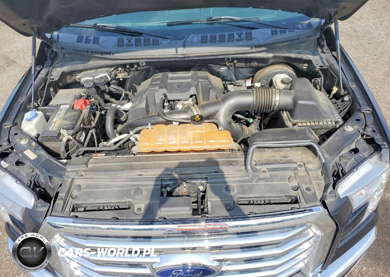 2017 Ford F150 Supercrew VIN:1FTEW1CP3HFB48011 - 11