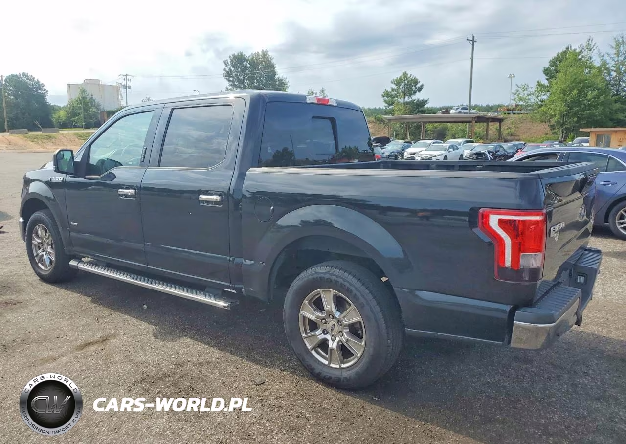 2017 Ford F150 Supercrew VIN:1FTEW1CP3HFB48011 - 2