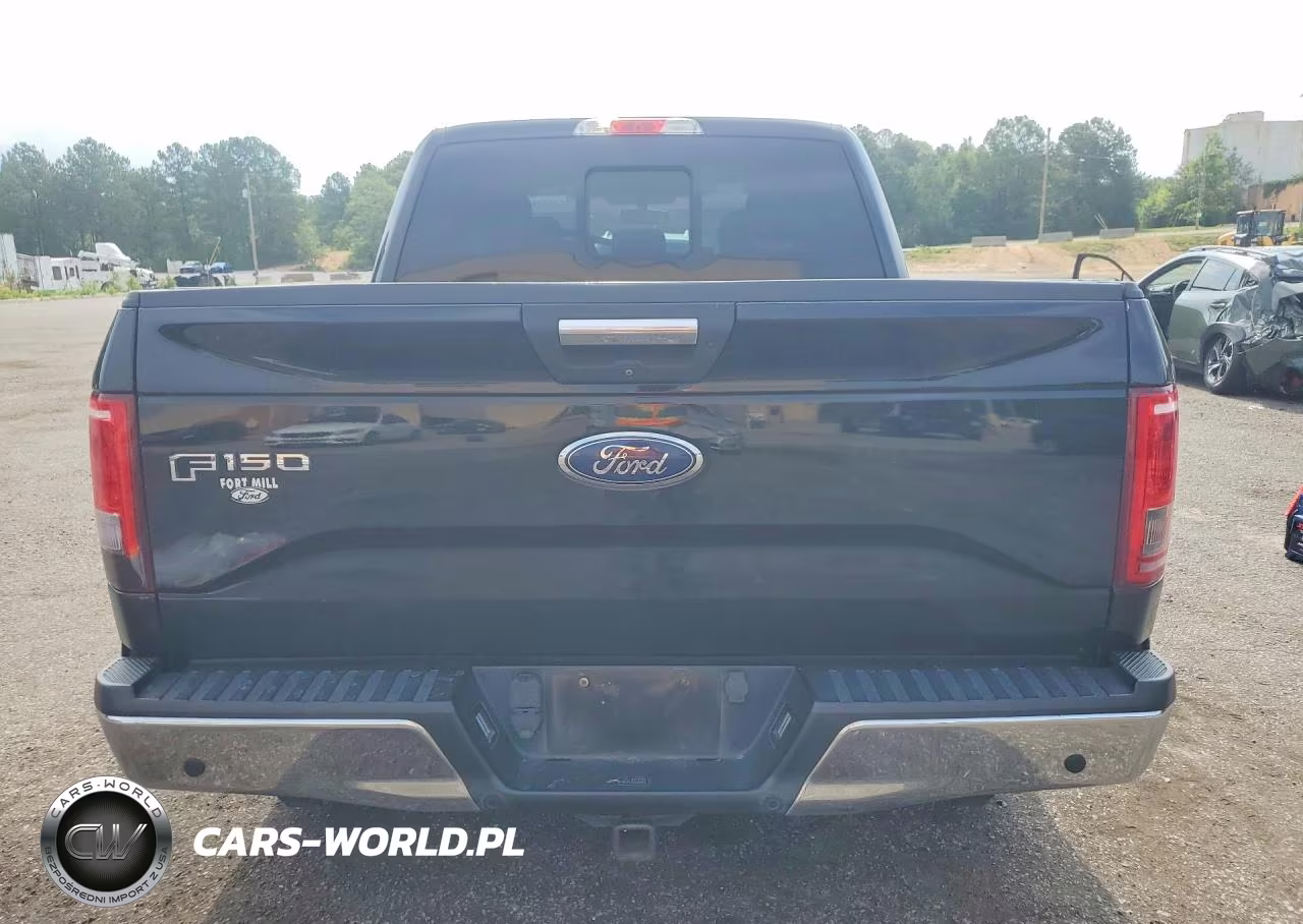 2017 Ford F150 Supercrew VIN:1FTEW1CP3HFB48011 - 6