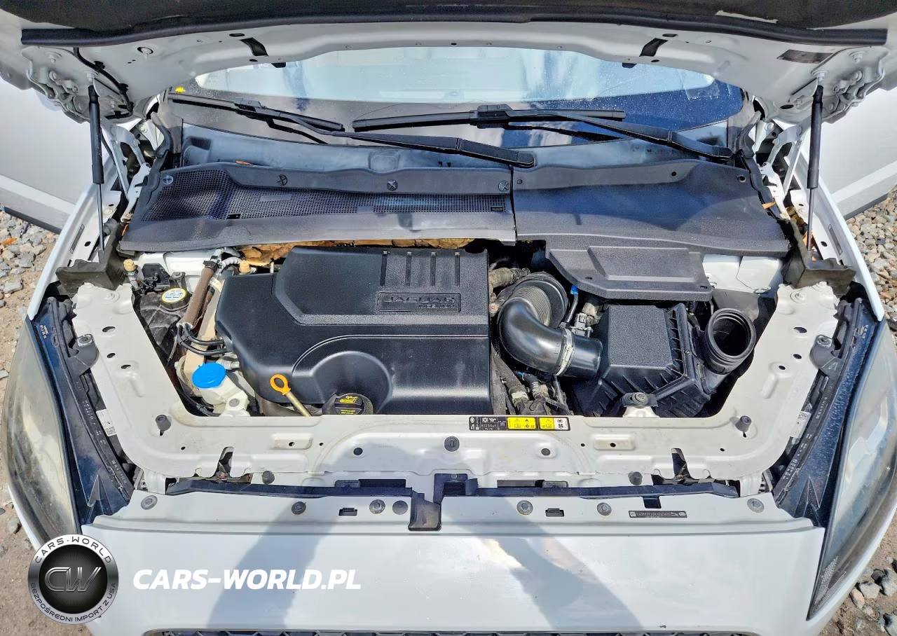2019 Jaguar E-Pace Se VIN:SADFP2FX8K1Z37461 - 12