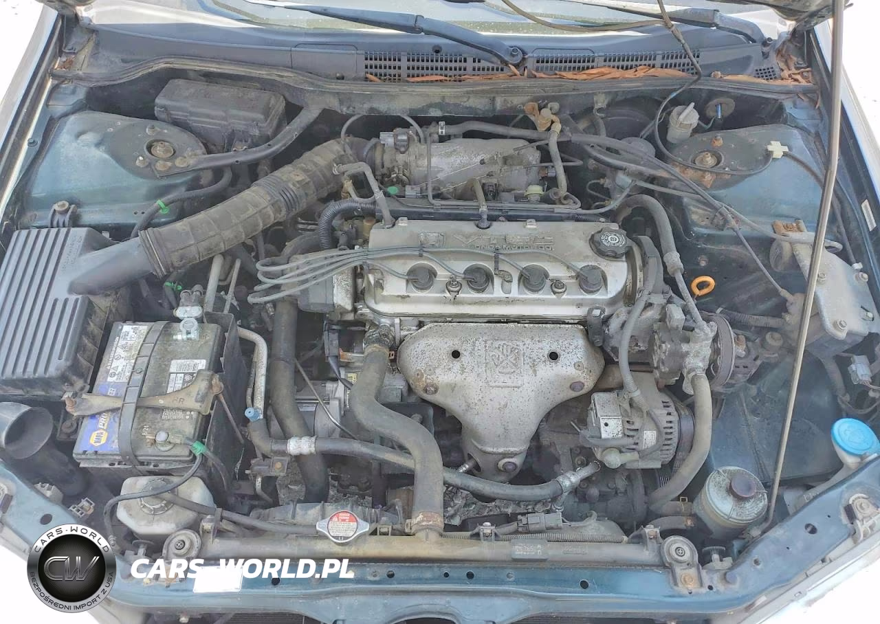 1999 Honda Accord Lx VIN:JHMCG5542XC034188 - 11