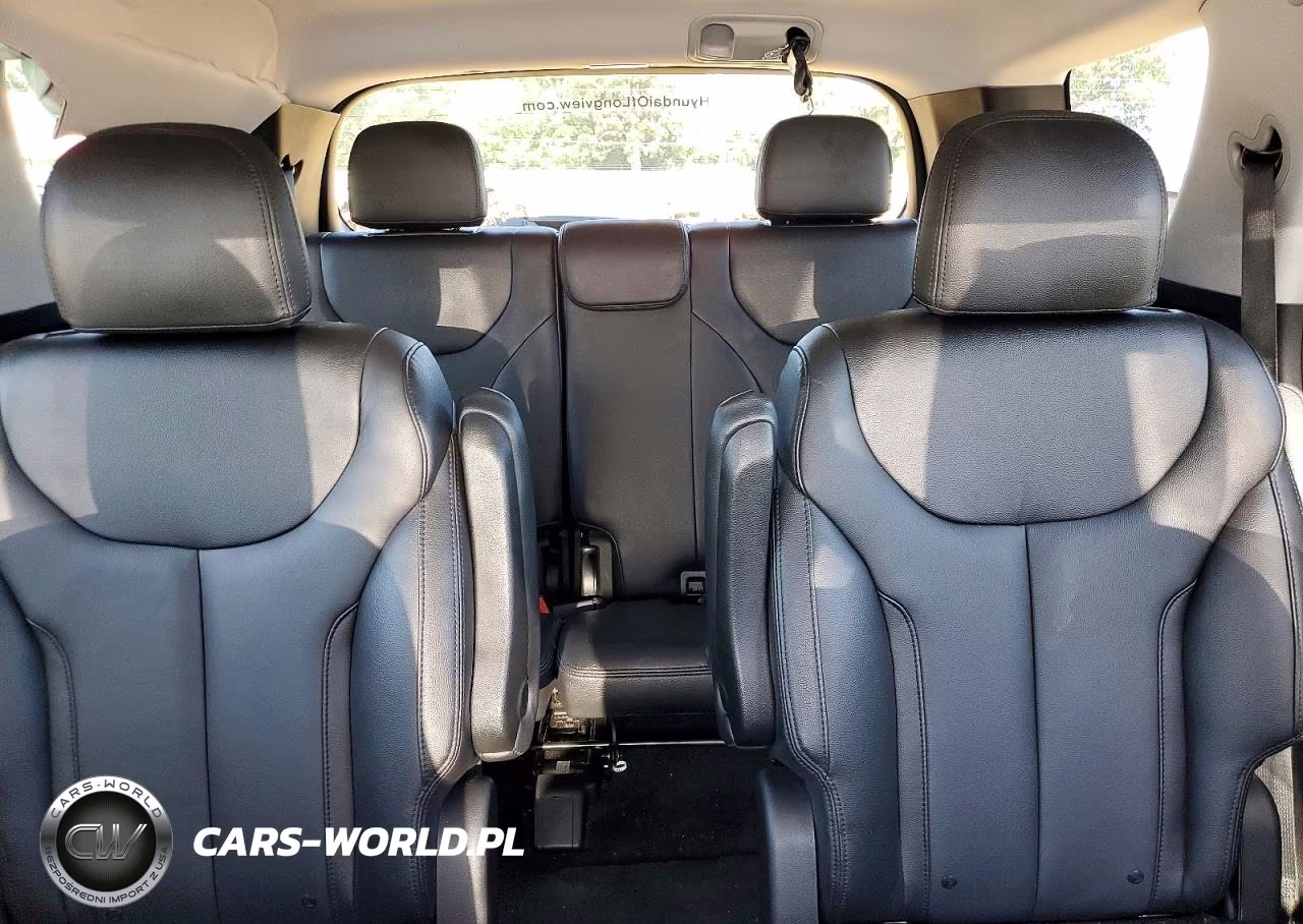 2020 Hyundai Palisade Sel VIN:KM8R34HE0LU105457 - 10