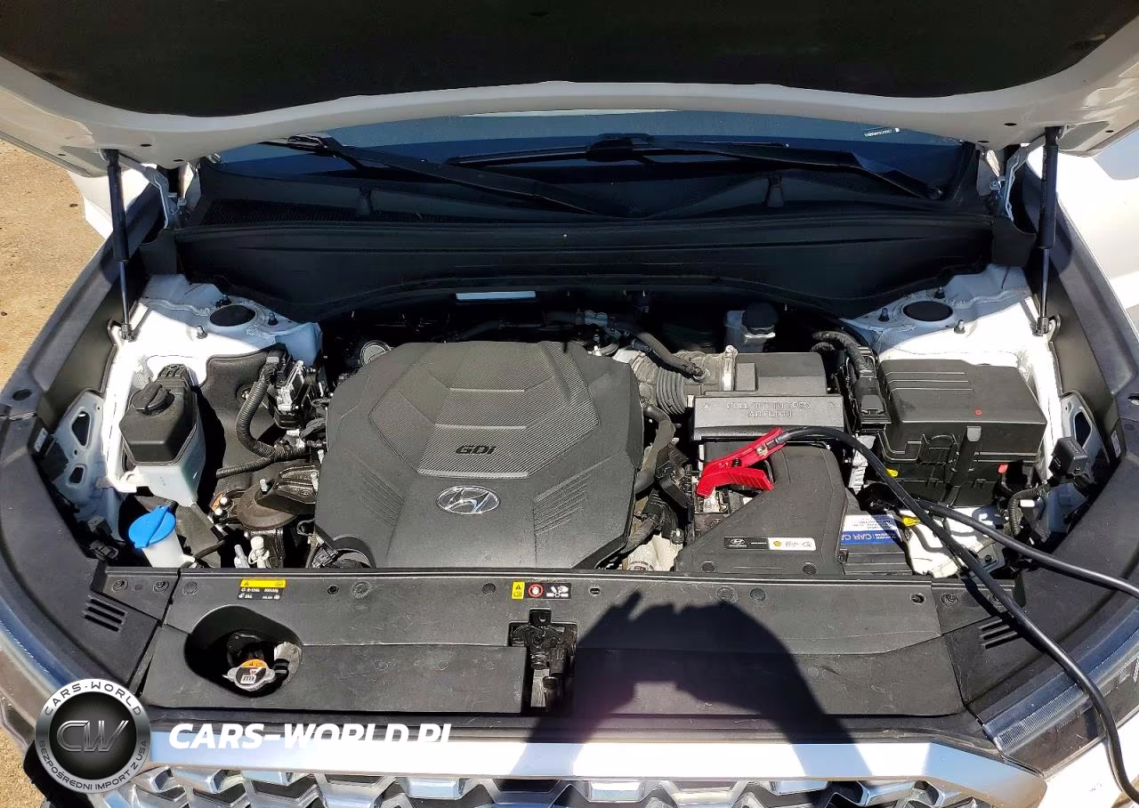 2020 Hyundai Palisade Sel VIN:KM8R34HE0LU105457 - 12