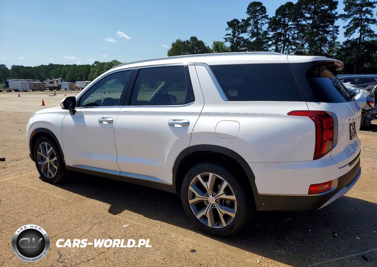2020 Hyundai Palisade Sel VIN:KM8R34HE0LU105457 - 2