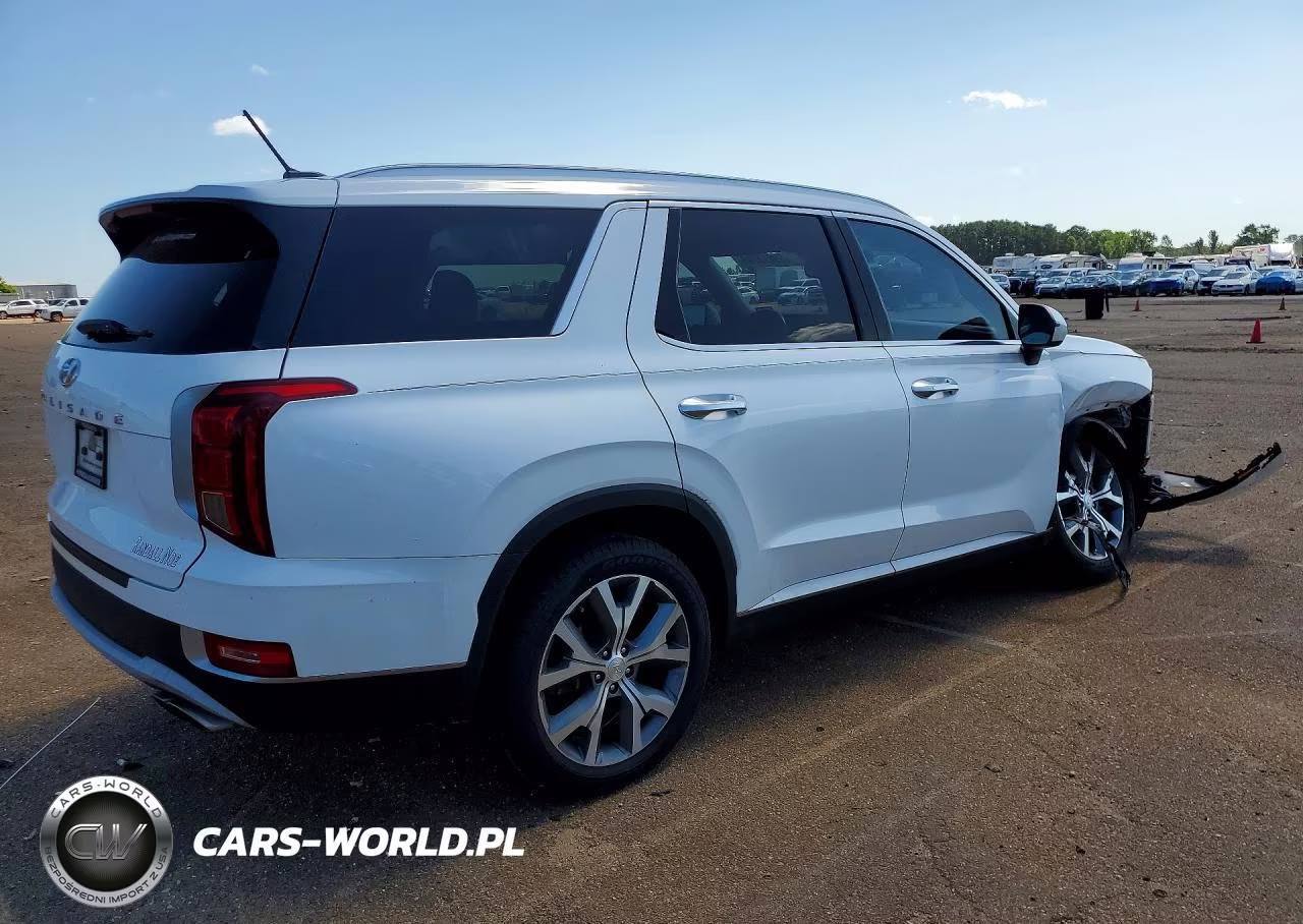 2020 Hyundai Palisade Sel VIN:KM8R34HE0LU105457 - 3