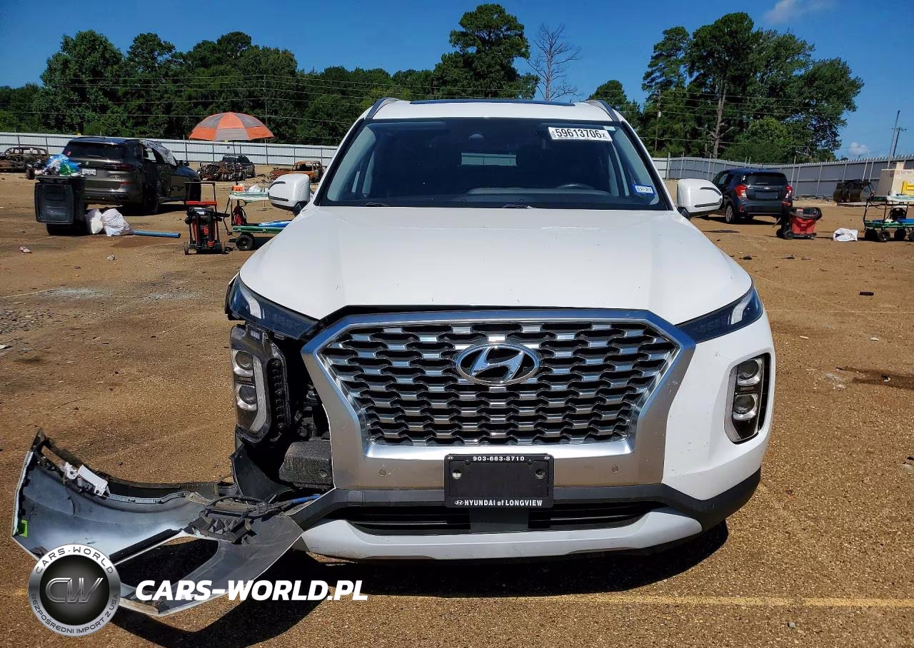 2020 Hyundai Palisade Sel VIN:KM8R34HE0LU105457 - 5
