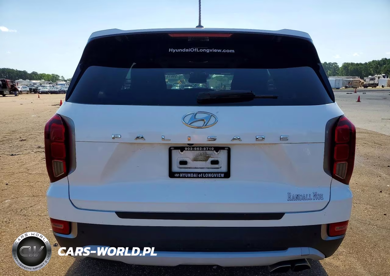 2020 Hyundai Palisade Sel VIN:KM8R34HE0LU105457 - 6