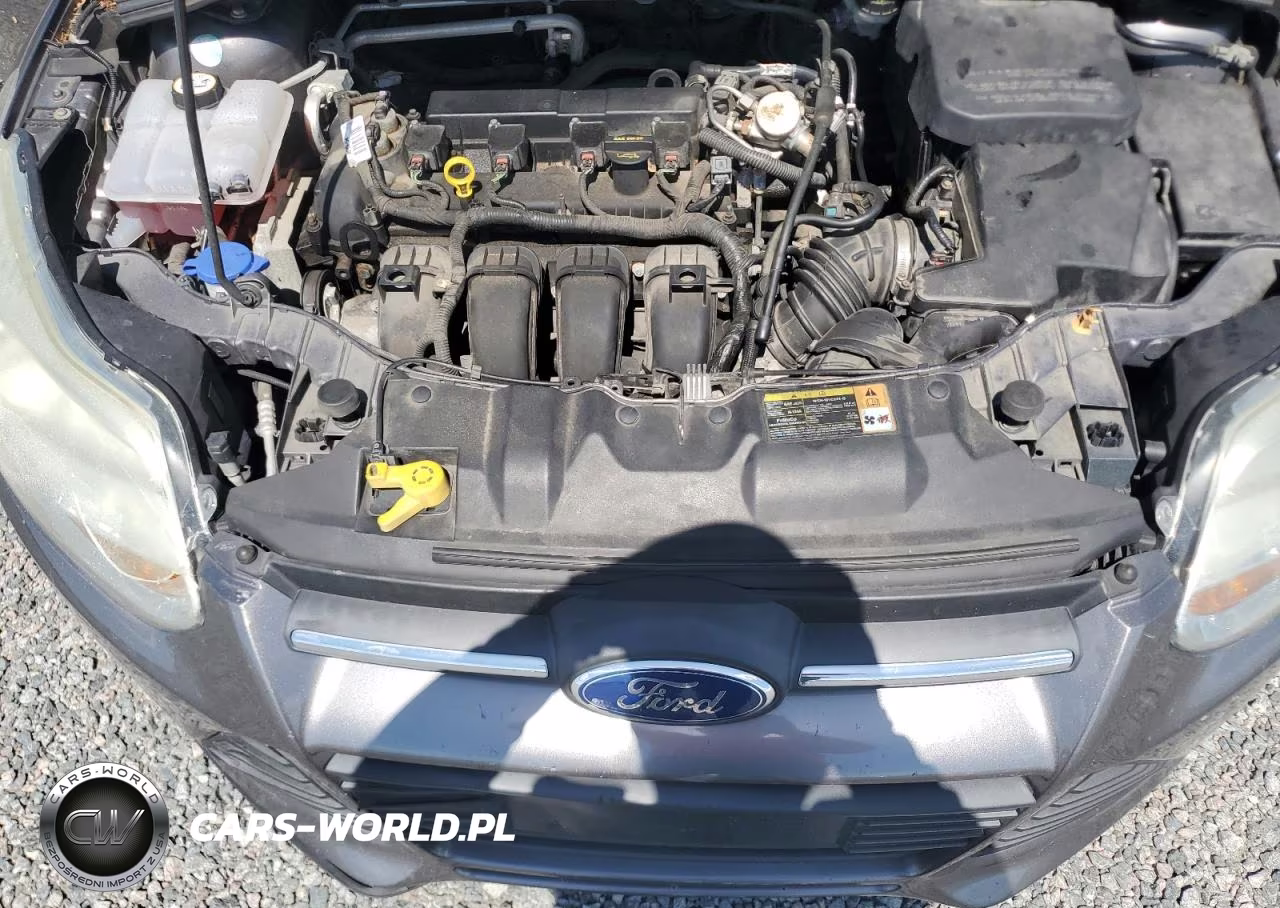 2013 Ford Focus Se VIN:1FADP3F27DL270618 - 11