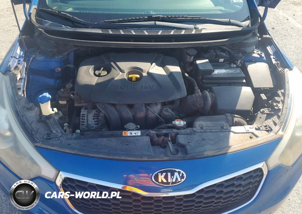 2014 Kia Forte Lx VIN:KNAFX4A67E5205385 - 11