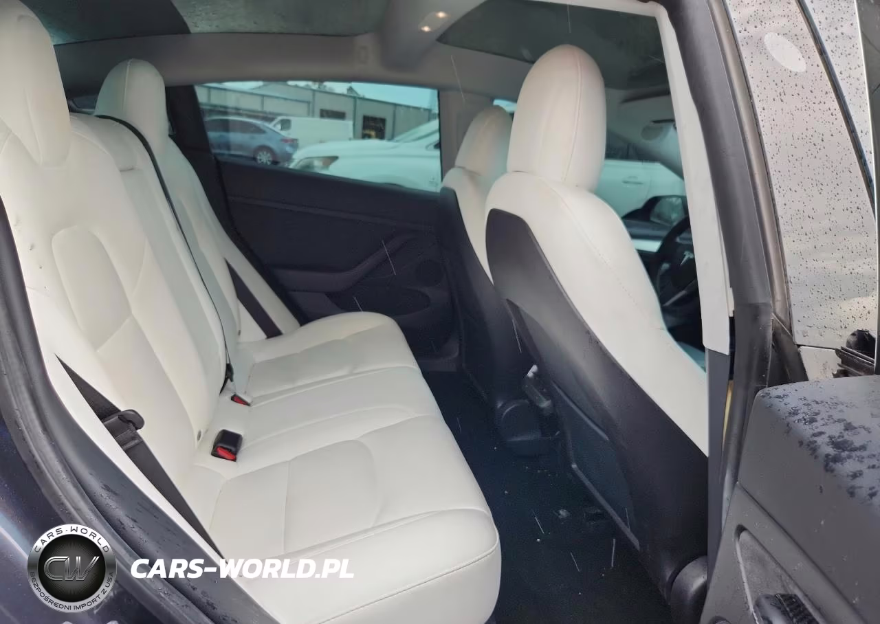 2021 Tesla Model 3 VIN:5YJ3E1EB5MF990231 - 10