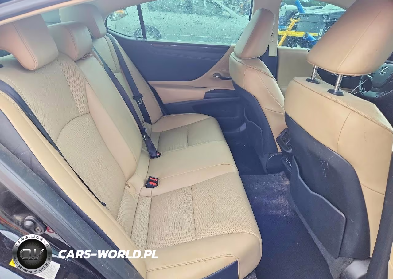 2019 Lexus Es 350 VIN:58ABZ1B14KU041371 - 10
