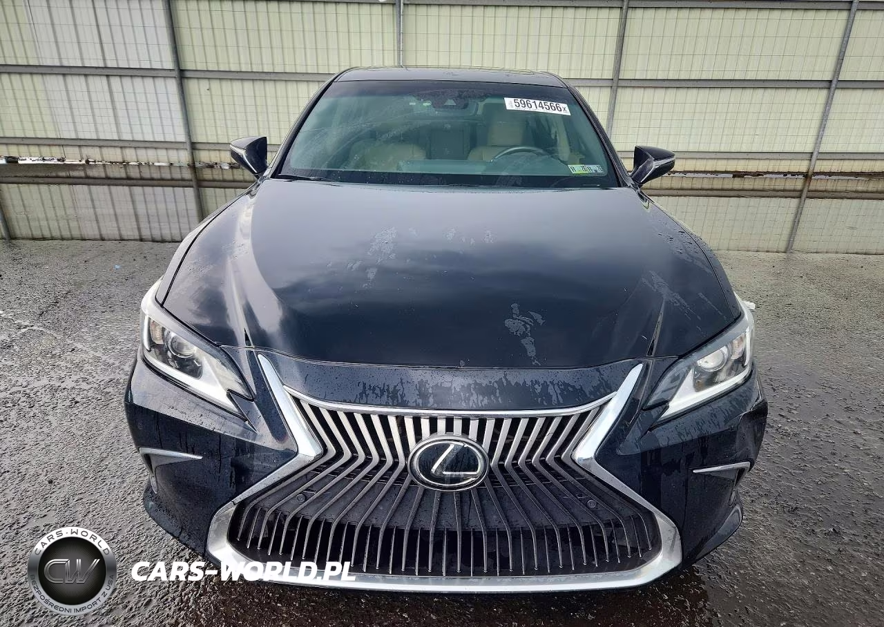 2019 Lexus Es 350 VIN:58ABZ1B14KU041371 - 5