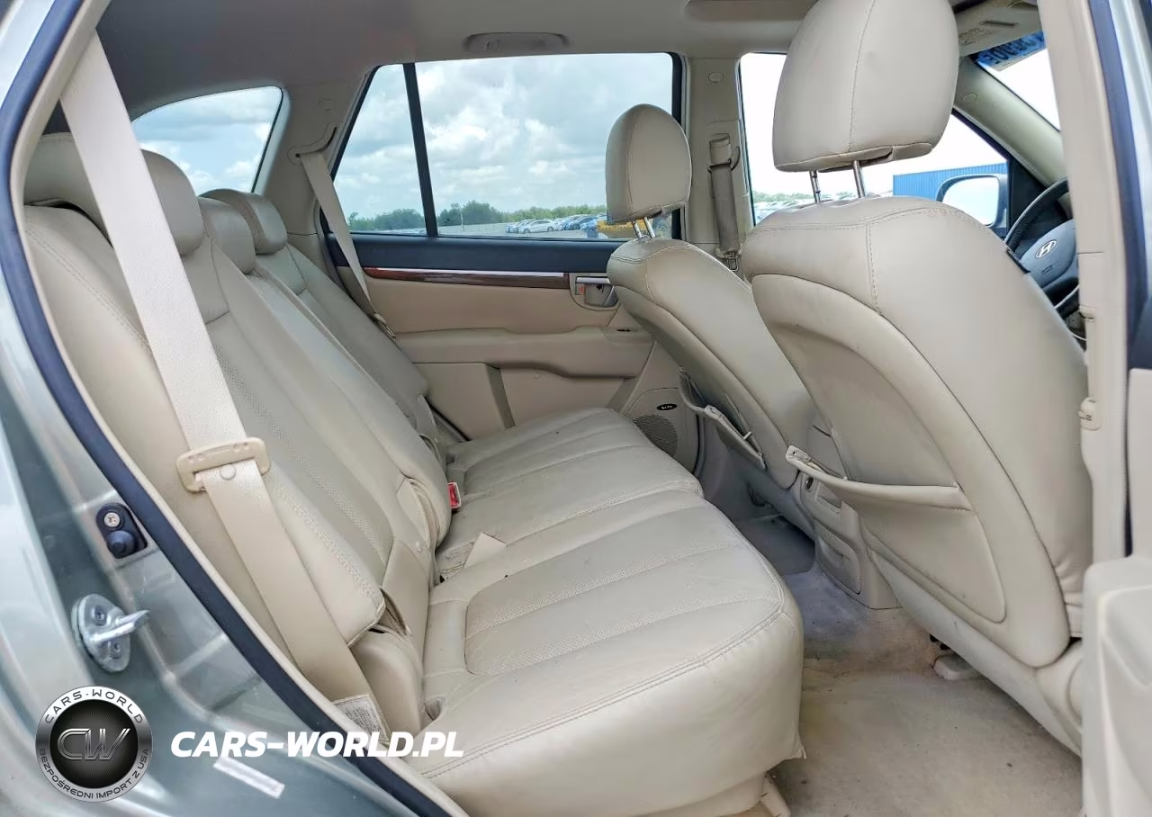 2009 Hyundai Santa Fe Limited VIN:5NMSH13E49H302192 - 10