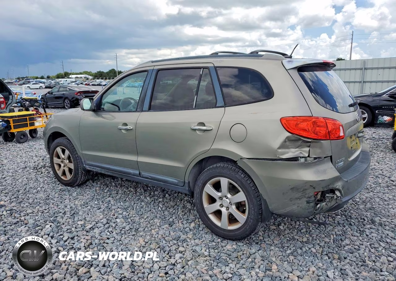 2009 Hyundai Santa Fe Limited VIN:5NMSH13E49H302192 - 2