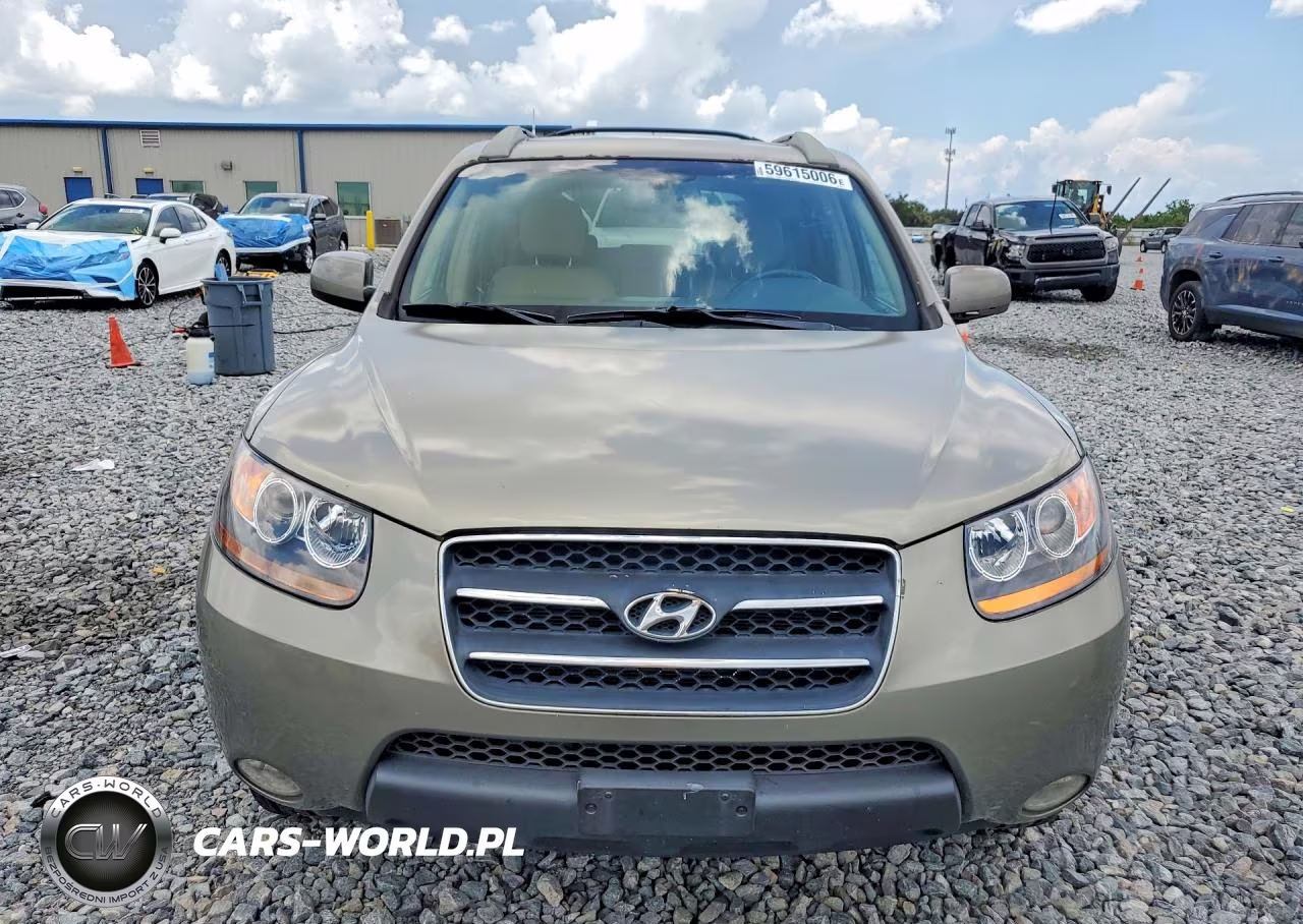2009 Hyundai Santa Fe Limited VIN:5NMSH13E49H302192 - 5