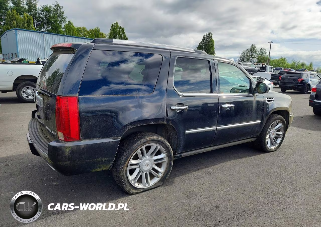 2012 Cadillac Escalade Platinum VIN:1GYS4DEF5CR262477 - 3