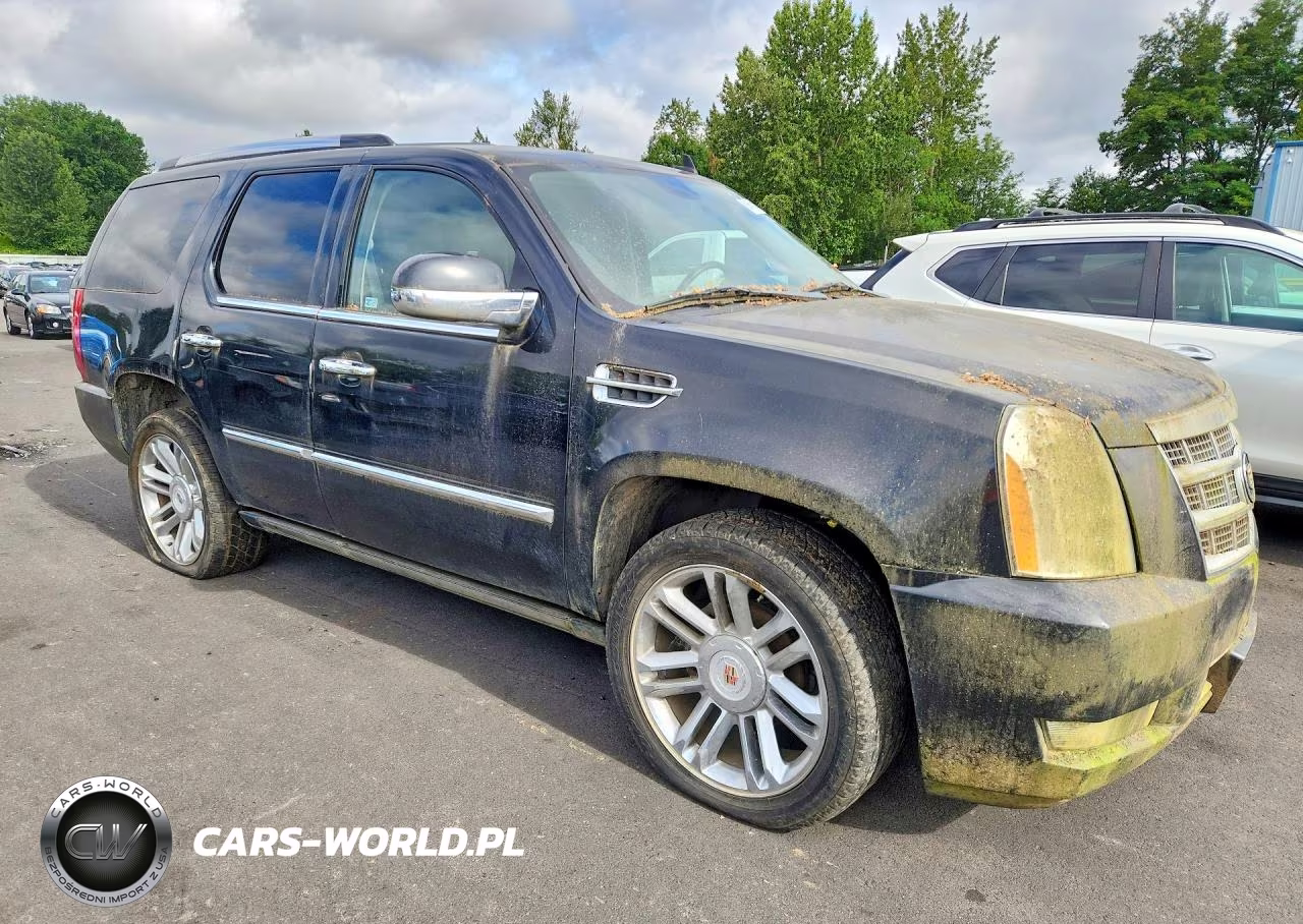 2012 Cadillac Escalade Platinum VIN:1GYS4DEF5CR262477 - 4