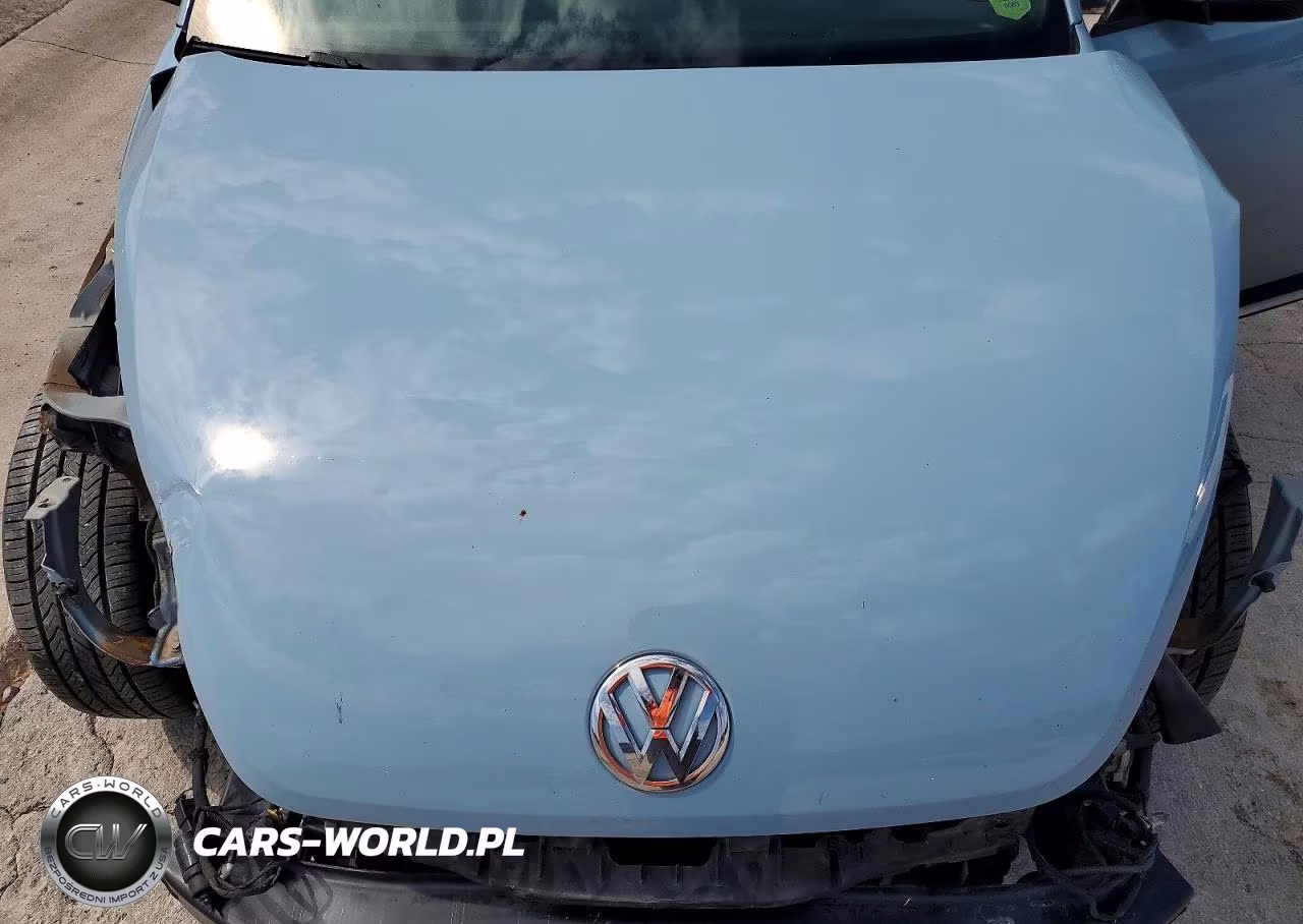 2014 Volkswagen Beetle R-Line VIN:3VWVT7AT0EM665450 - 11